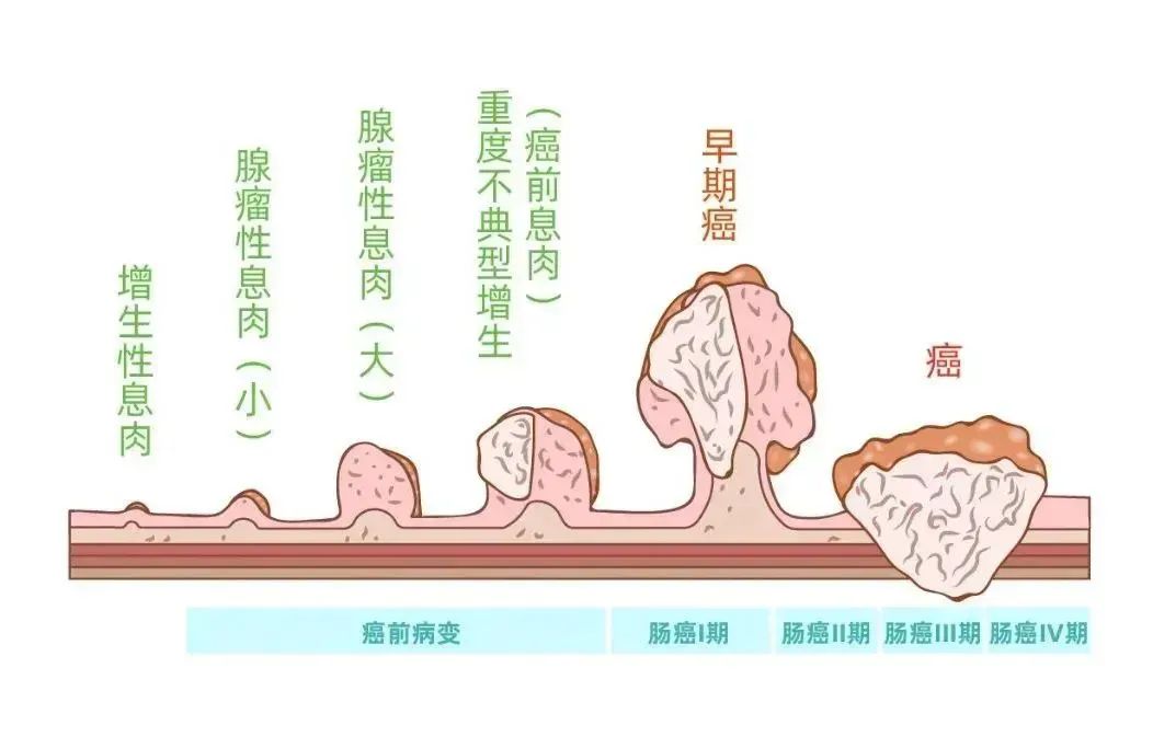 1-2410301454153P.jpg