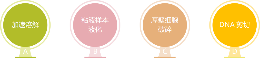 8.png